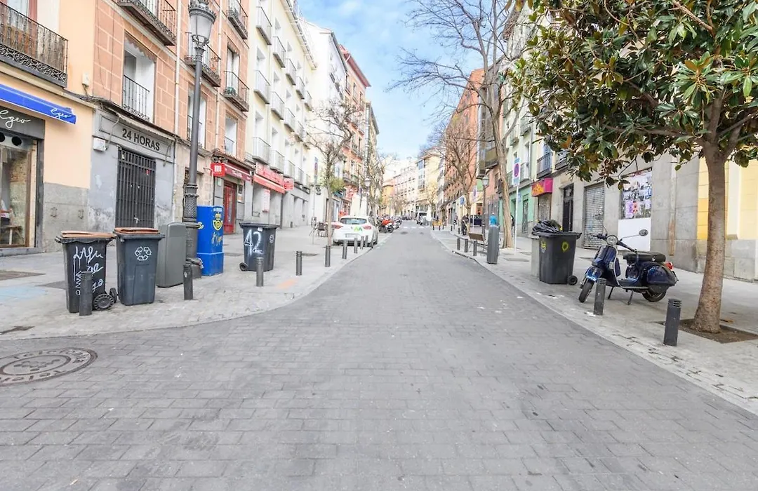 Temporal Apartment 1 Bedroom Flat A Few Metres From The City Centre Ama2721-1